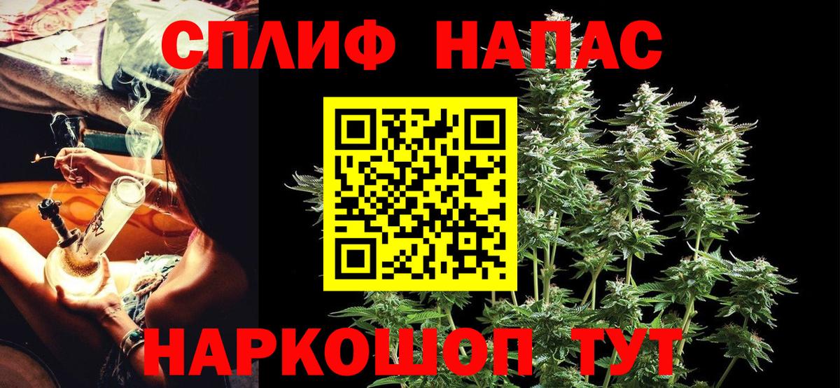 Большой Камень  МАРИХУАНА MAZAR  Каннабис конопля  Вход с VPN  Конопля MAZAR 